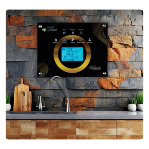 Wall Mount Water Ionizer